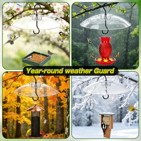Gtongoko baffle offers 360-degree viewing of feeding birds