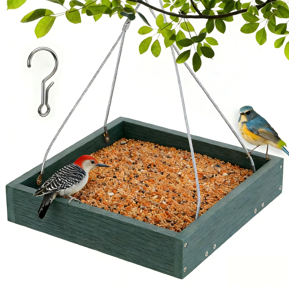 Gtongoko hanging bird feeder with 3.5 lb capacity inviting multiple birds