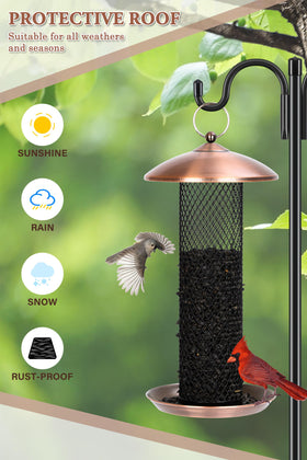 Gtongoko large-capacity feeder for sunflower seeds, with easy refills.