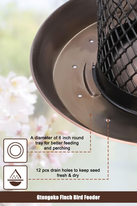 Gtongoko feeder with perching mesh tray for clinging birds.