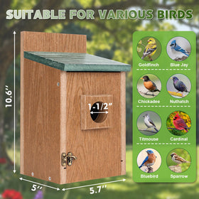 Gtongoko bird house displaying air vents for breathable nesting