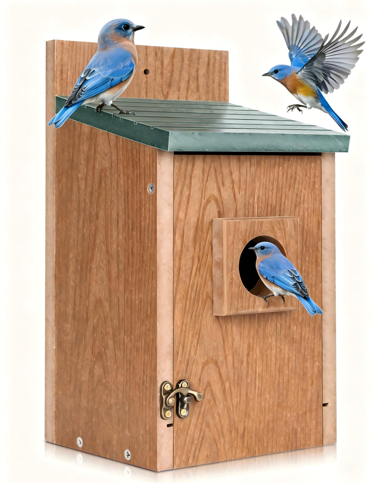Gtongoko bird house with 1-1/2 inch entrance for small birds