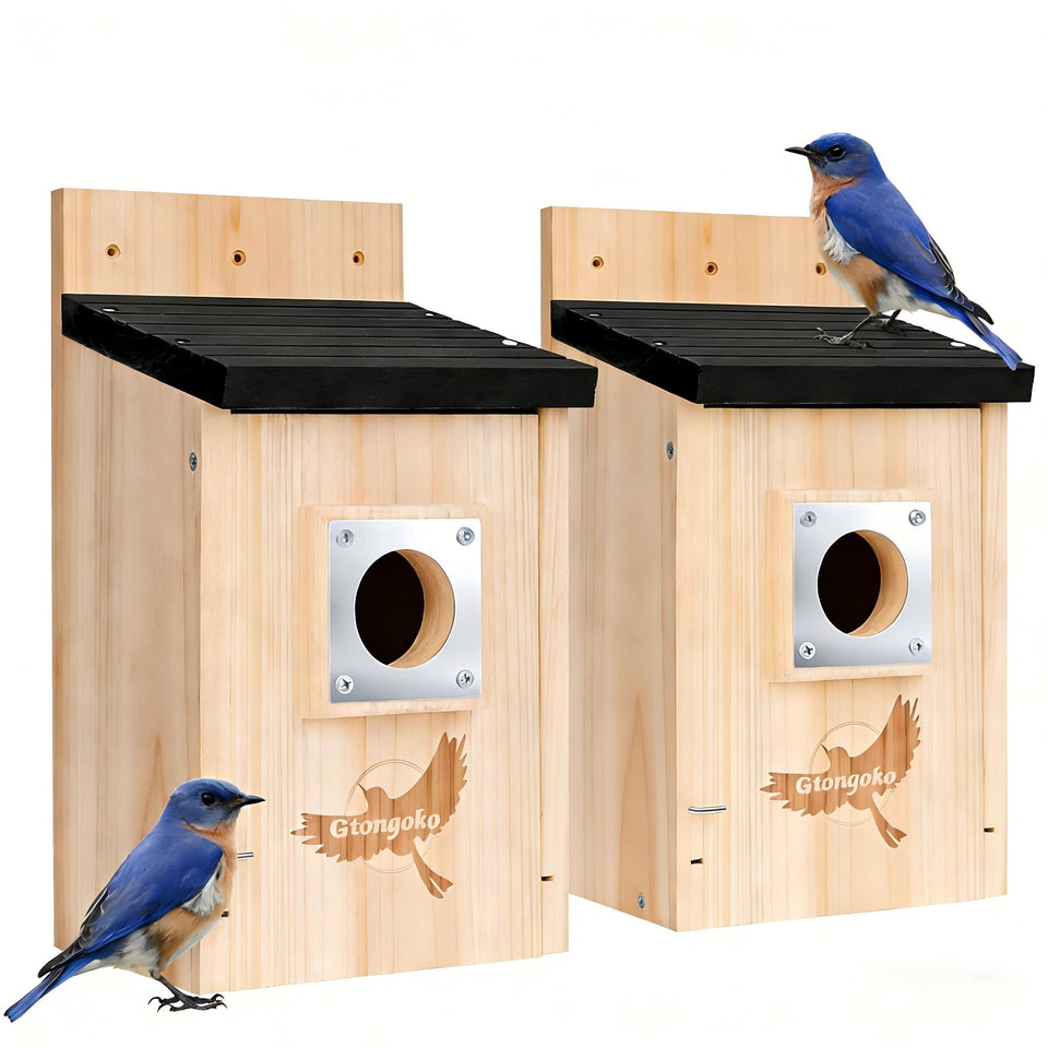 Gtongoko bird house with entrance hole and metal guard for predator protection