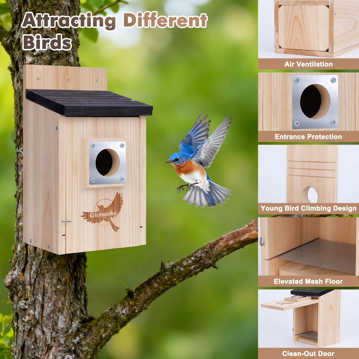 Gtongoko bird house interior shows built-in mesh floor for safe fledgling exit