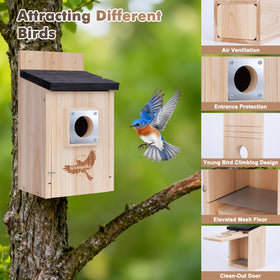 Gtongoko bird house interior shows built-in mesh floor for safe fledgling exit