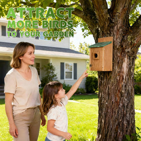 Gtongoko bird house mounted on a pole or tree for flexible placement
