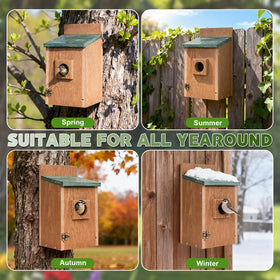 Gtongoko bird house one piece design requires no assembly