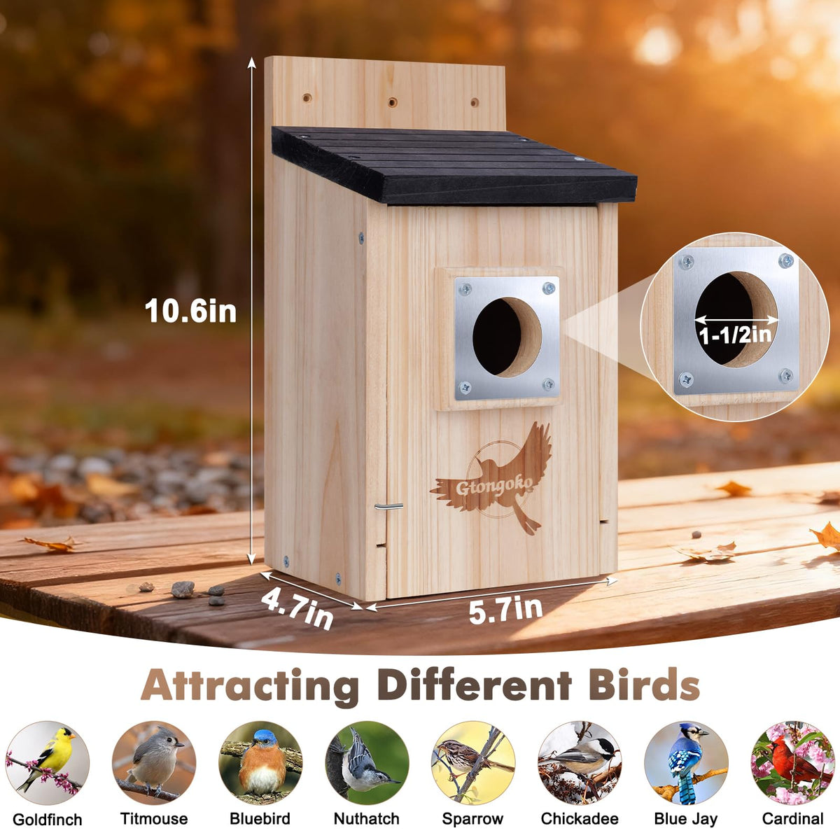 Gtongoko wooden bird house side view highlighting durable pine construction