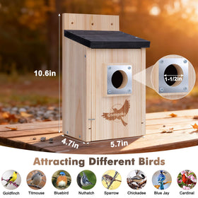 Gtongoko wooden bird house side view highlighting durable pine construction