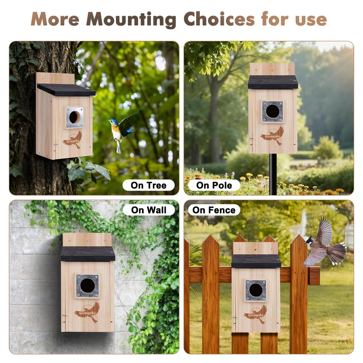 Gtongoko bird house two-pack ready for yard-wide nesting