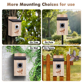 Gtongoko bird house two-pack ready for yard-wide nesting