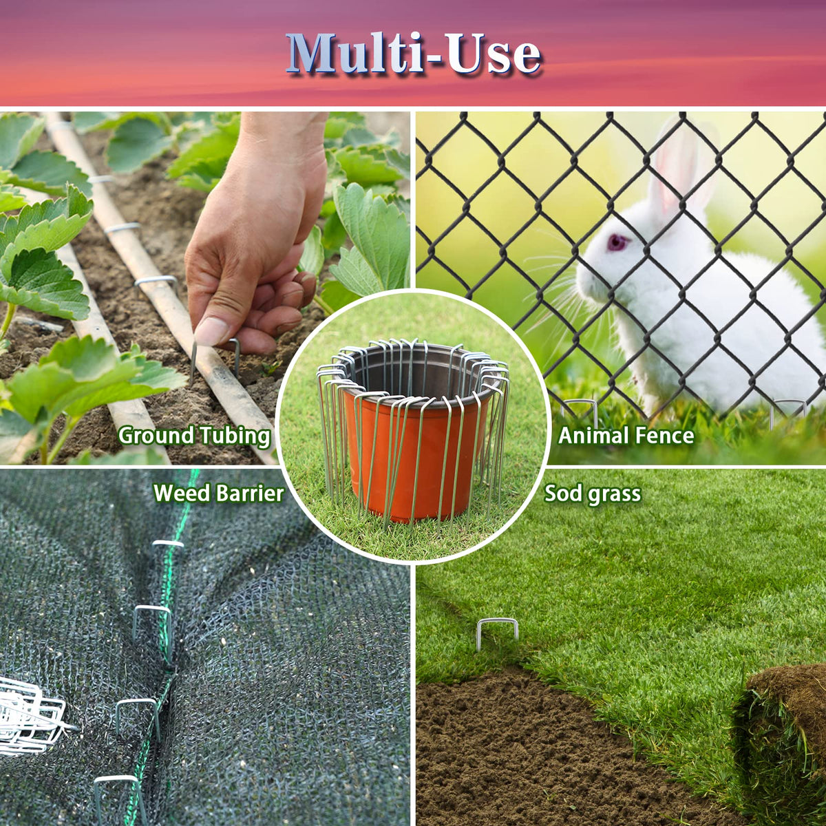Gtongoko durable, rust-resistant stakes designed for reuse across seasons.