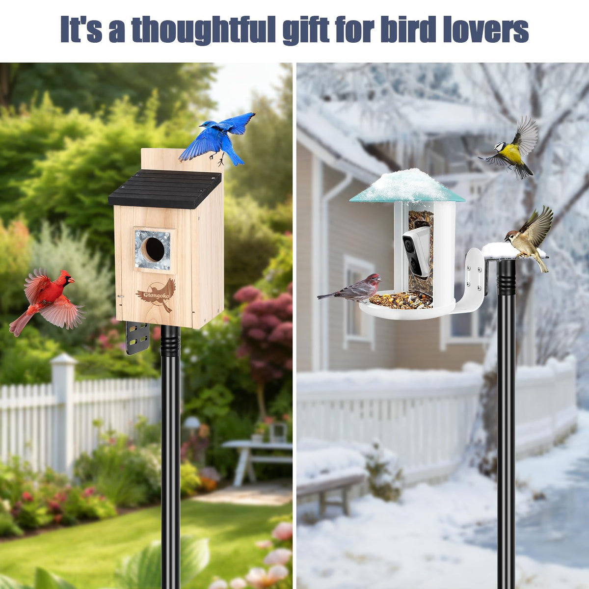 Gtongoko easy-install threaded pole system speeds backyard setup