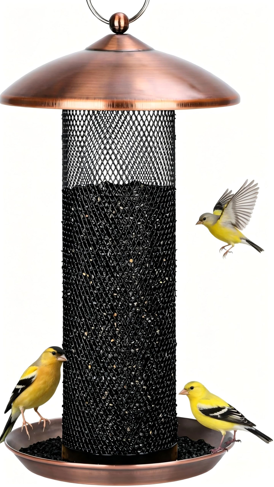 Gtongoko copper finch feeder showing large 2.5 lb seed capacity for extended feeding
