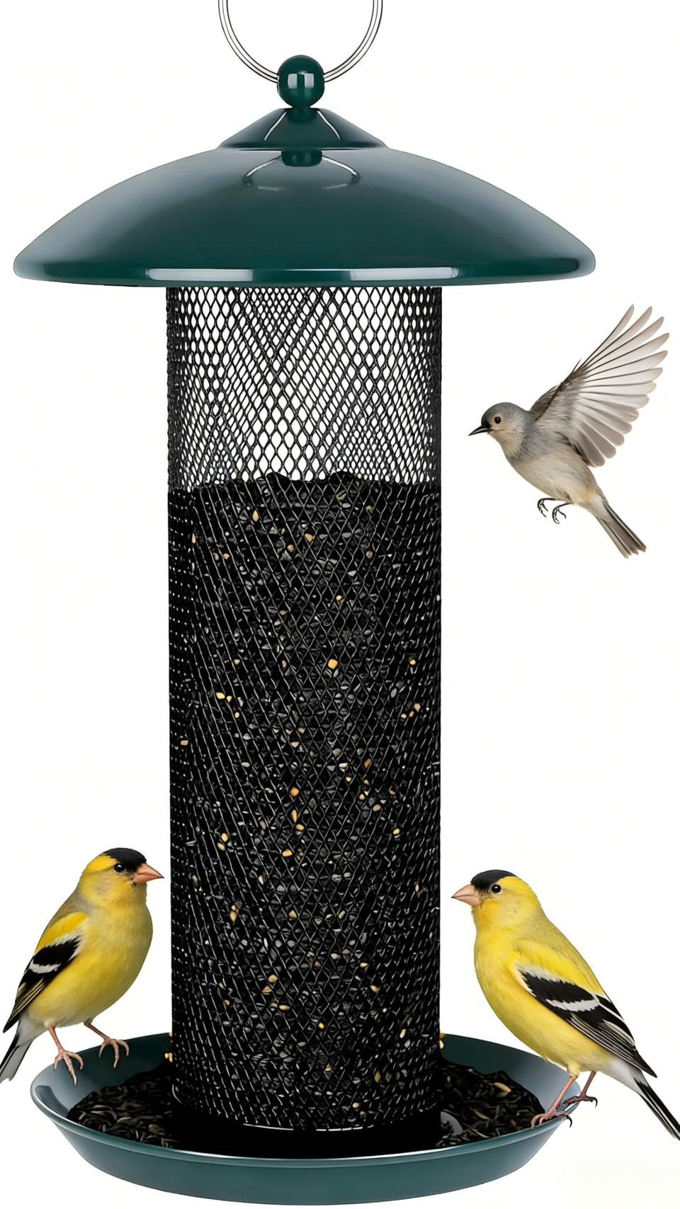 Gtongoko Finch feeder with 2-5 lb capacity supports longer refills.