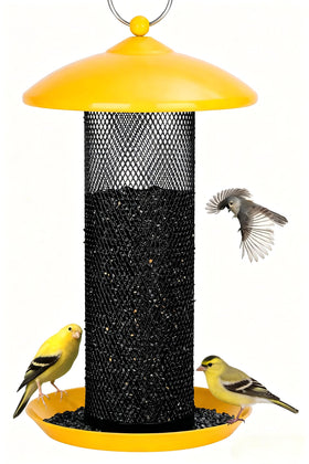 Gtongoko Finch feeder outdoors showing 2.5 lb capacity for less frequent refills.