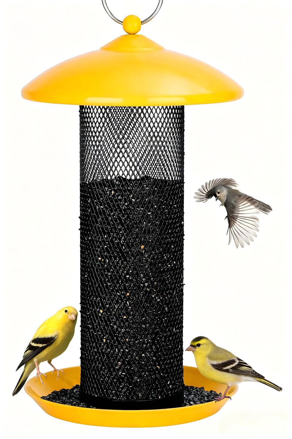 Gtongoko Finch feeder outdoors showing 2.5 lb capacity for less frequent refills.