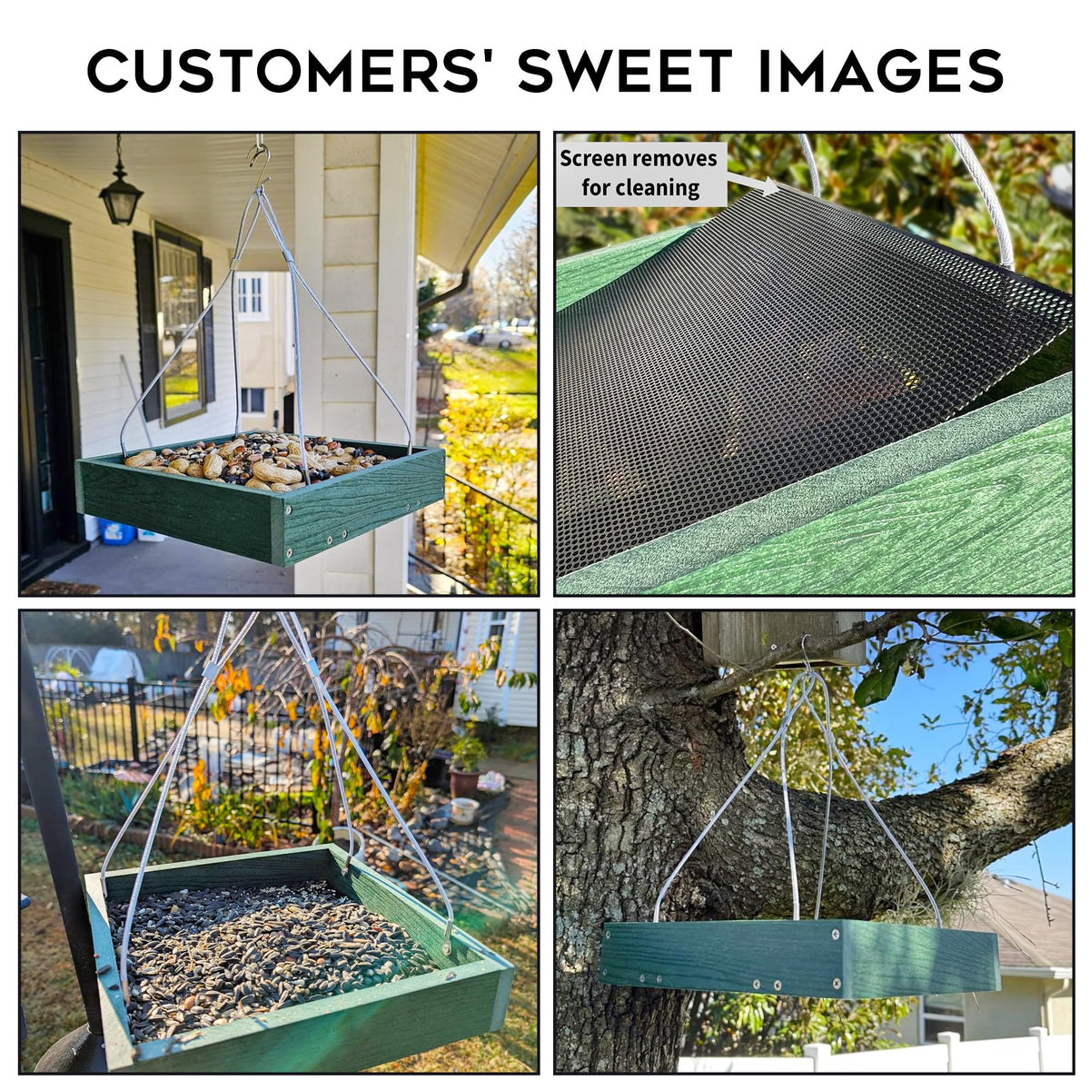 Gtongoko garden bird watcher feeder enhances backyard viewing experience