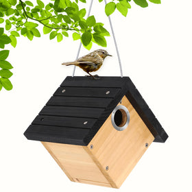 Gtongoko hanging wren bird house provides safe shelter for wrens in shaded branches.