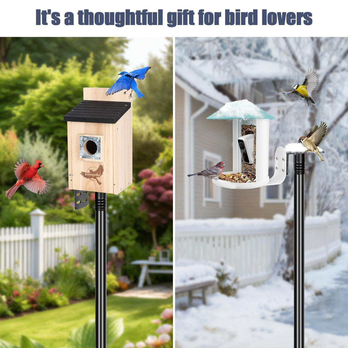Top or side mounting platform compatible with most feeders.