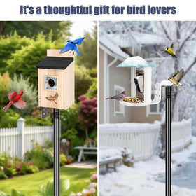 Gtongoko outdoor-ready pole withstands weather and elements.
