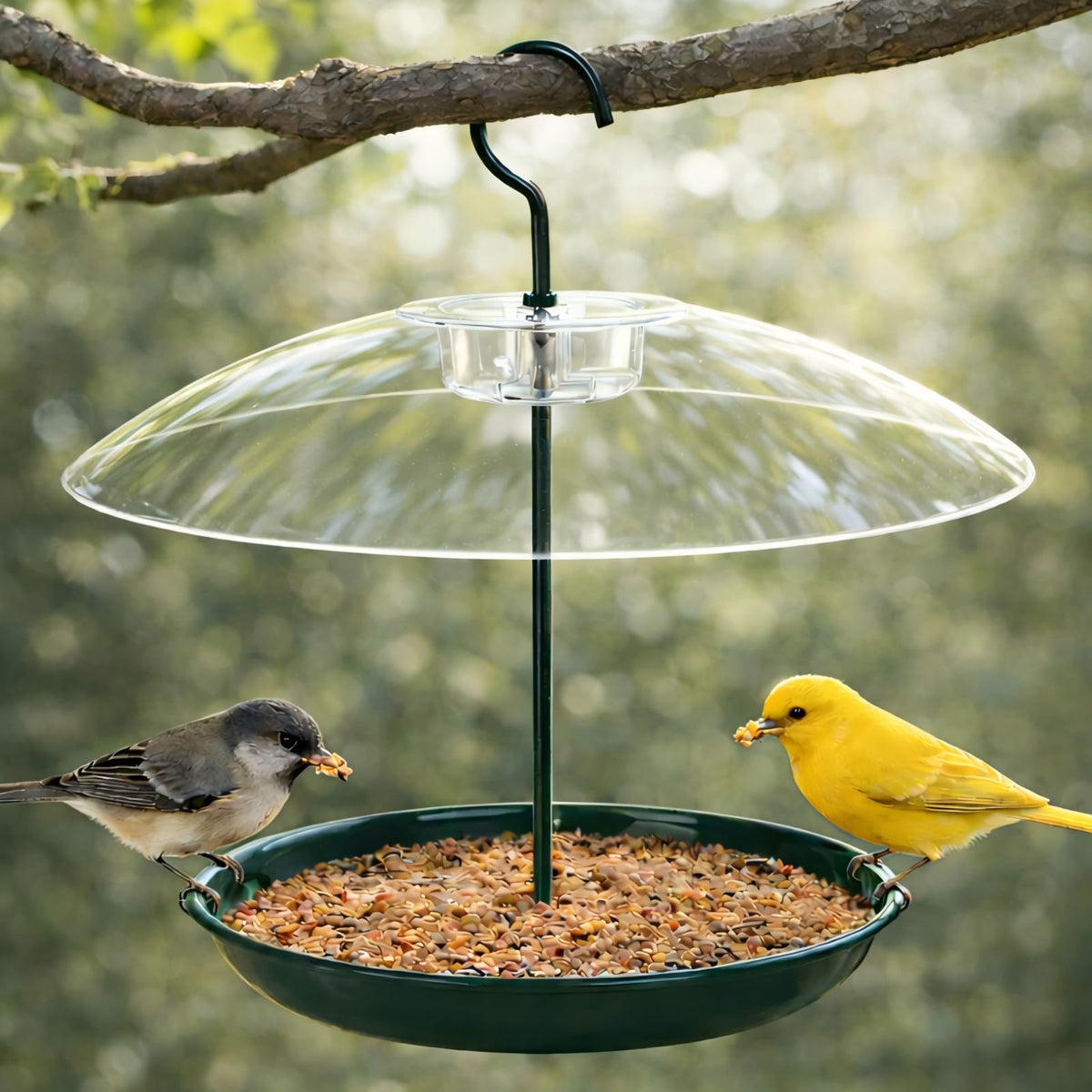 Gtongoko platform bird feeder with dome weatherproof protection keeps seeds dry for backyard birds