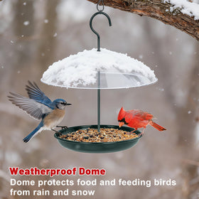 Gtongoko platform bird feeder demonstrating 360-degree feeding for multiple birds