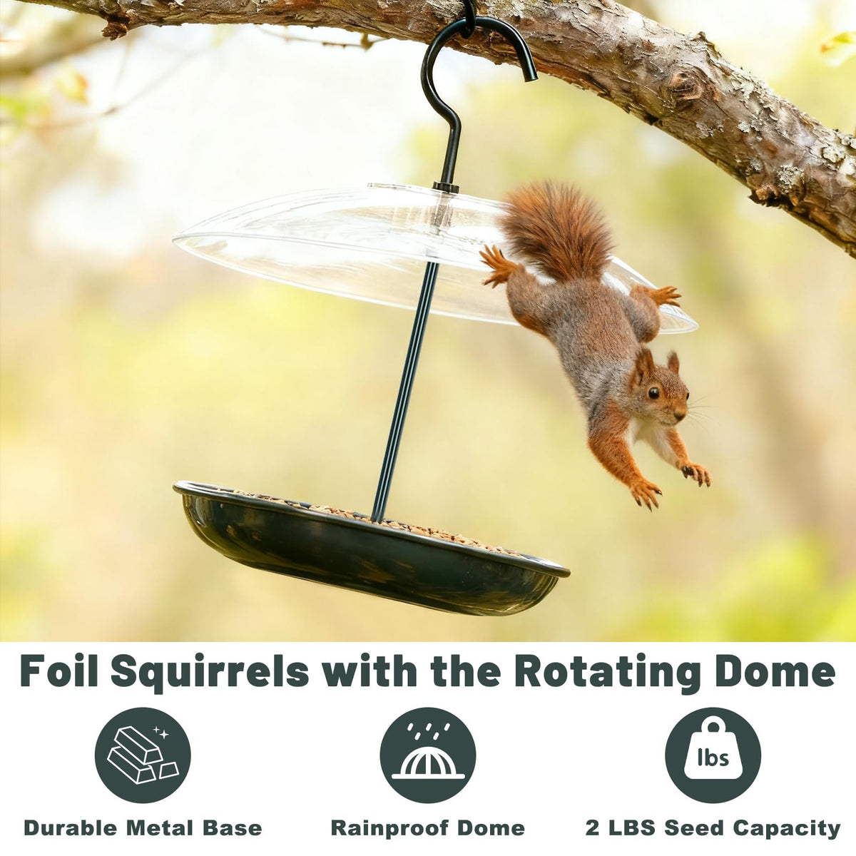 Gtongoko platform bird feeder designed for easy filling and cleaning