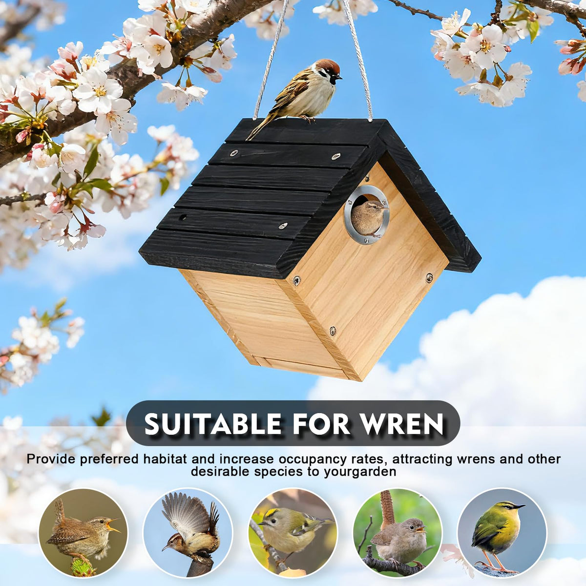 Gtongoko weatherproof bird house withstands wind and rain for year-round outdoor use.