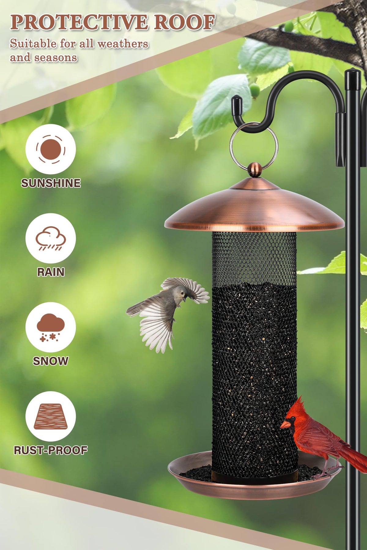 Gtongoko wide-mouth feeder enables easy refilling and cleaning