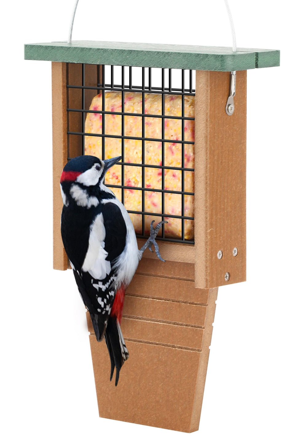Gtongoko woodpecker tail-pro feeder supports stable feeding.