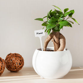 Gtziqa easy-to-use labels insert into soil without root damage.