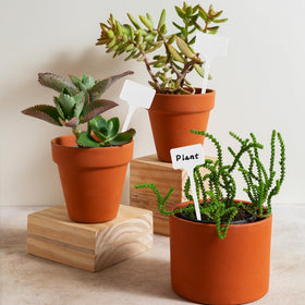 Gtziqa versatile markers suit vegetables, flowers, and potted plants indoors or outdoors.