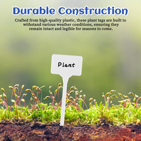 Gtziqa white T-type nursery stake stands up to outdoor use and easy soil insertion.