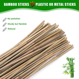 GUANGYE bamboo stake for beans supports vertical growth