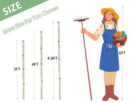 GUANGYE bamboo stake for tomato support promotes upright growth