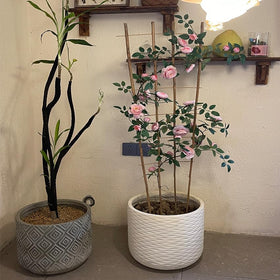 Guangye bamboo trellis outdoor garden setup blends with natural surroundings.