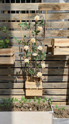 Guangye bamboo trellis weather-resistant and durable for years of use.