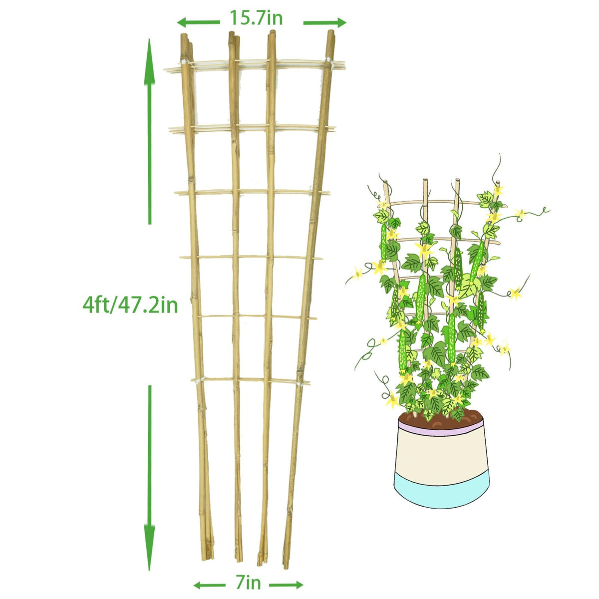 GUANGYE fan-shaped trellis closeup shows natural bamboo texture for organic garden aesthetics.