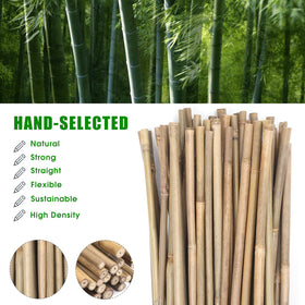 GUANGYE indoor outdoor bamboo post fits versatile gardening setups