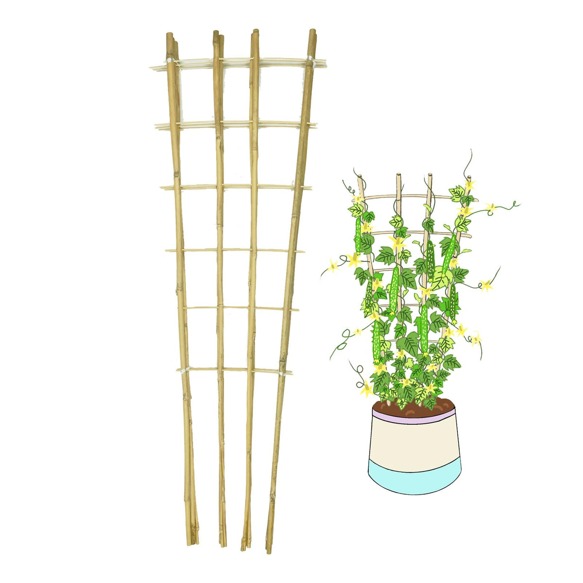 GUANGYE natural bamboo trellis 4ft 3-pack supports climbing plants with durable, lightweight strength for pots and gardens.
