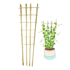 GUANGYE natural bamboo trellis 4ft 3-pack supports climbing plants with durable, lightweight strength for pots and gardens.