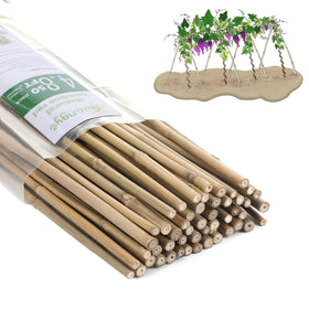 GUANGYE plant bamboo post 4.8ft supports climbing plants outdoors