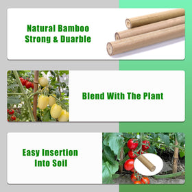 GUANGYE reusable garden stake saves materials season after season