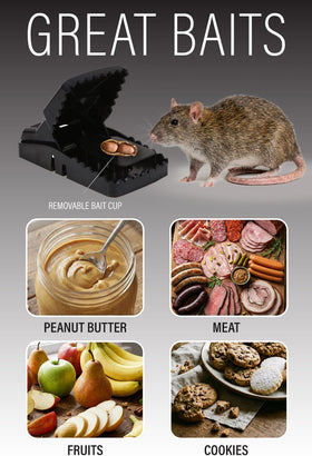 Guarden 2-pack in use in a yard or barn for rodent control.