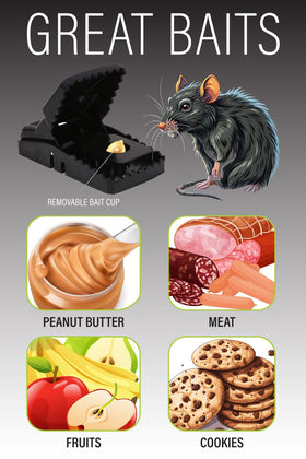Guarden Rat Trap Six Pack indoor use for quick, effective rodent control.