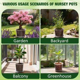 GUGEMEI decor-pot friendly clear pots arranged with a decorative container