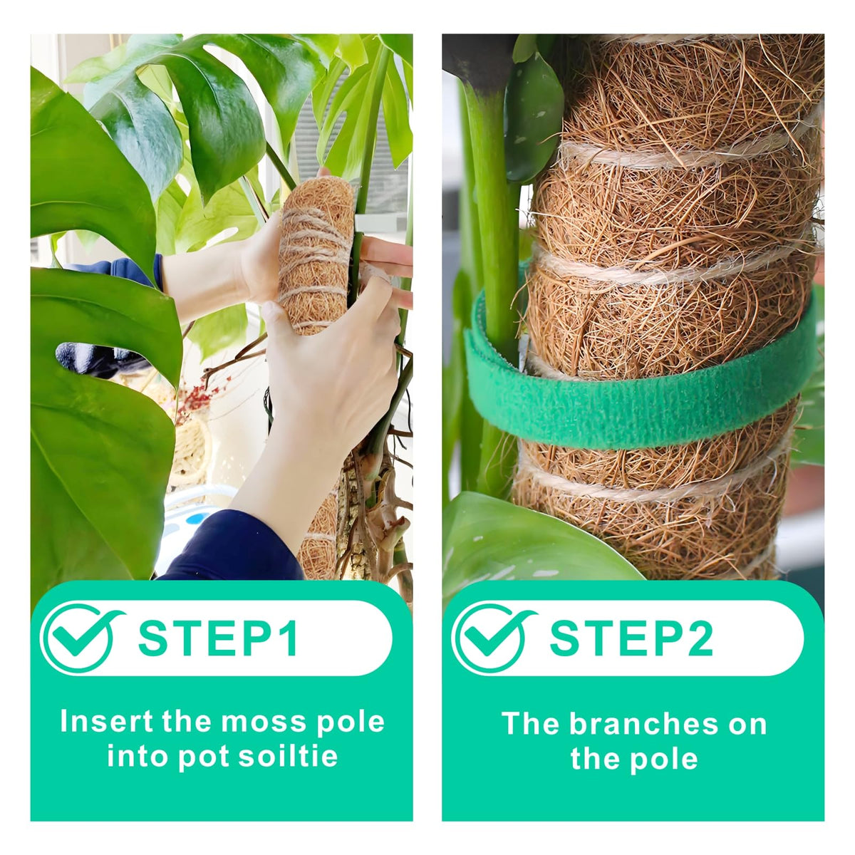 GUIDOT easy-assembly climbing plant poles simplify setup