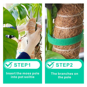 GUIDOT easy-assembly climbing plant poles simplify setup