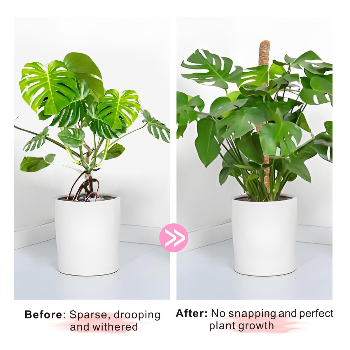 GUIDOT flexible plant holders bend to fit any climbing plant